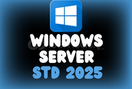 Windows Server 2025 R2 - Retail - Standart