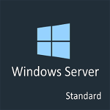 Windows Server Standard Dijital Lisans Key