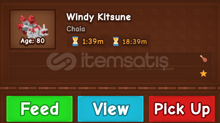 Windy Kitsune Windy Kitsune