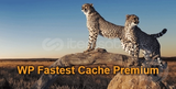 WP Fastest Cache Premium v3.18.3