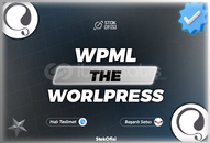 WPML The WordPress Multilingual Plugin