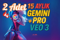 x2 ADET- 15 Ay Gemini PRO Veo 3 