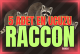 ⚡(X5) GROW A GARDEN RACCOON[PET]⚡