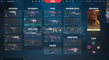 Yağmacı Karambit/212 Seviye Mail/İsim Değişir