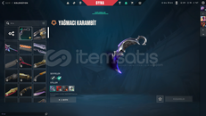 Yağmacı Karambit'li Efsane Hesap