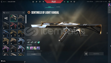 YAĞMACI OP VE IŞIK MUHAFIZI VANDAL GOLD3 HESAP