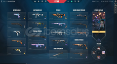 yağmacı vandal , asil spectra ,fatih marshal