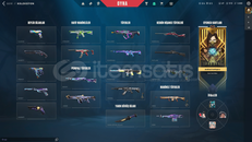 ⭐Yağmacı vandal⭐Garantılı⭐148 level⭐