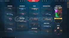 YAĞMACI VANDALLI EFSANE MAİLLİ HESAP