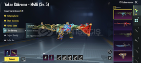 Yakan kükreme 5 / Destansı gösteriş / zırhx 