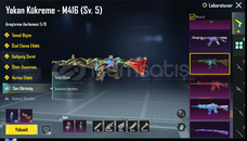 YAKAN KÜKREME 5 SİLAH HESABI