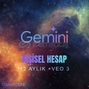 YAPAY ZEKA Google Gemini Pro 12 Aylık