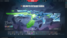 YENİ DOLMİRİN SETLİ MİNİMAL VANDAL KURUCU MAİL