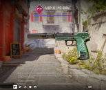 Yeni Skin USP-S | PC-GRN