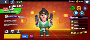 YEŞİM AJAN COLT 33.3K KULÜP ÖMÜRLÜK TÜRK
