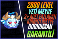 Yeti Meyve+ 3+ Kırmızı Meyve+GDH+2800 LVL