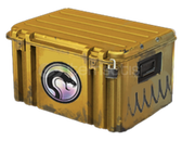 ✨Yılan Kasası⭐