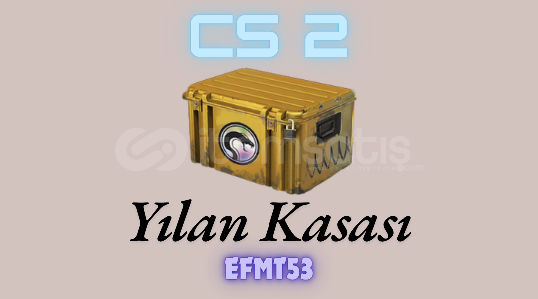 YILAN KASASI / STEAM CS2 YILAN KASASI / STEAM CS2