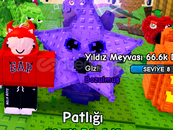 Yıldız Meyvası satıyorum