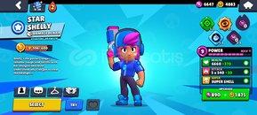 Yıldız Shelly 4bp li fiyat performans hesap