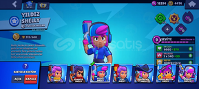 YILDIZ SHELLYLİ SAĞLAM HESAP MAİL DEĞİŞEN