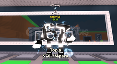 YİNGYANG 67 // 78.7M/s