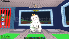yinyang money money puggy 199.8 m EN UCUZU