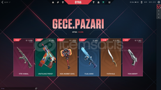 YİTİK VANDAL 1030VP