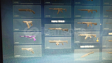 Yitik Vandal Gold Elo