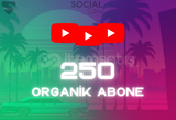 YouTube 250 Organik Abone - Garantili