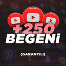 YouTube 250 Organik Beğeni