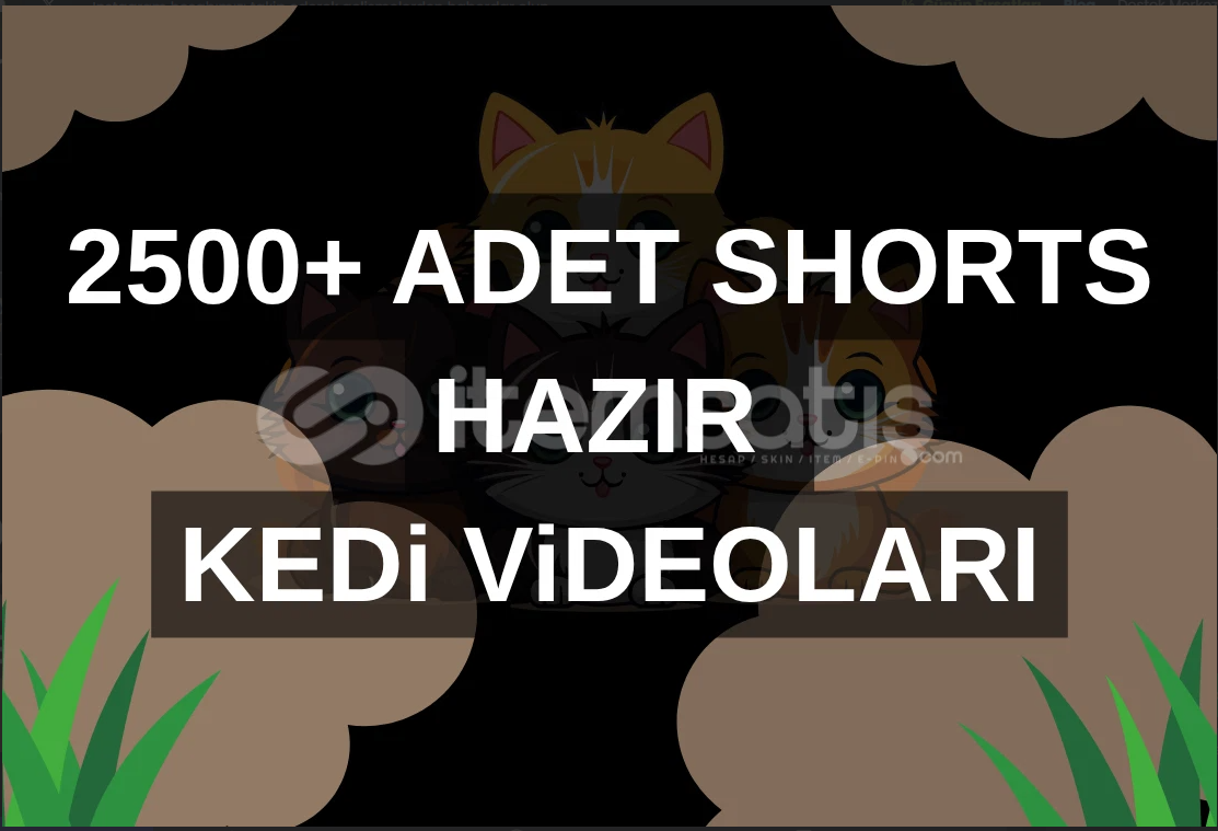 YOUTUBE SHORTS KEDi ViDEOLARI HAZIR 2500+ ADET YOUTUBE SHORTS KEDi ViDEOLARI HAZIR 2500+ ADET