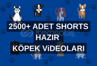 YOUTUBE SHORTS KÖPEK ViDEOLARI HAZIR 2500+ ADET