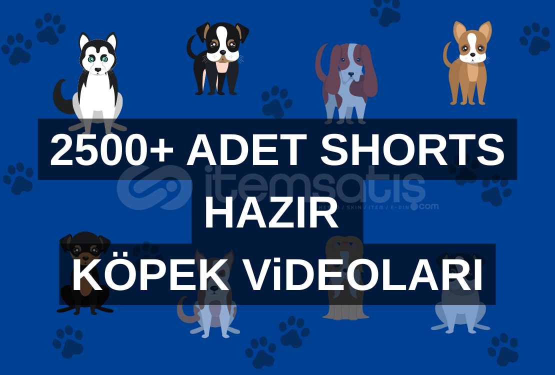 YOUTUBE SHORTS KÖPEK ViDEOLARI HAZIR 2500+ ADET YOUTUBE SHORTS KÖPEK ViDEOLARI HAZIR 2500+ ADET