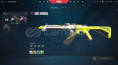 YÜCELİK1 + 2 VANDAL SKİN