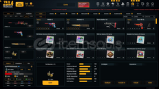 İÇİ DOLU 100 SEVİYE +7 Lİ FULL HESAP/UYGUN FİYAT