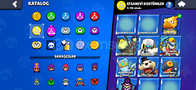 Zararına BS hesabı 