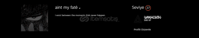 Zararına Steam Hesabı