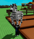 Zebra En Ucuzu