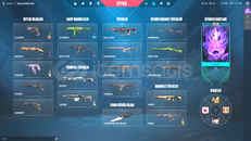 Zifir Set 101 Skin 9 Bıçak 11 Vandal 11 Phantom