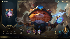 4x Rasgele Kostüm Sandıklı Hexkaşif Teemo 