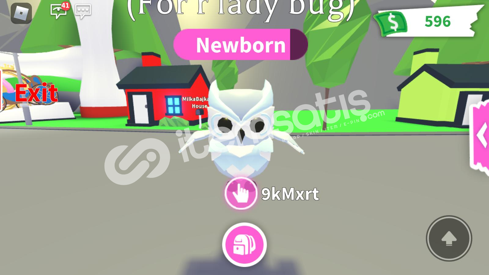ADOPT ME FLY SNOW OWL PET UCUZ FİYATA !!! 235399 İtemsatış