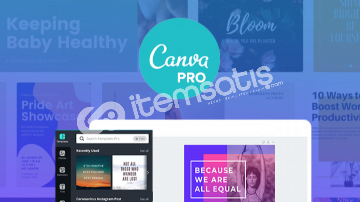 Canva Pro Стоимость